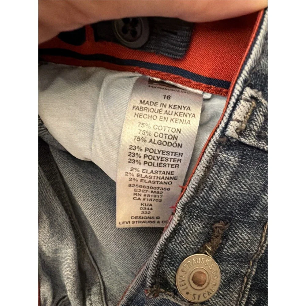 Levis levi strauss